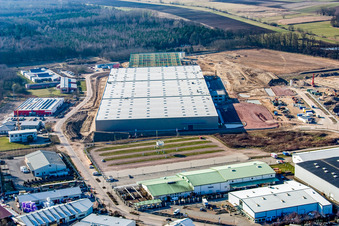 Image drone de Construction d'un nouveau hall logistique dans la zone industrielle d'Am Horst à le quartier Minderslachen in Kandel dans le département Rhénanie-Palatinat, Allemagne