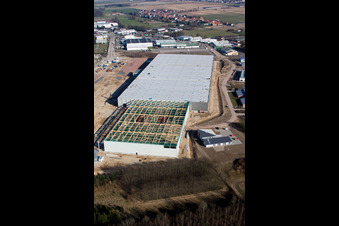 Vue oblique de Construction d'un nouveau hall logistique dans la zone industrielle d'Am Horst à le quartier Minderslachen in Kandel dans le département Rhénanie-Palatinat, Allemagne