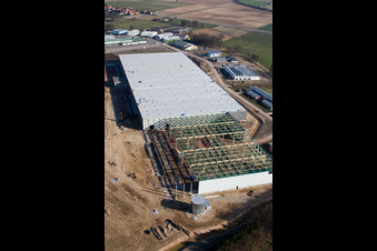 Construction d'un nouveau hall logistique dans la zone industrielle d'Am Horst à le quartier Minderslachen in Kandel dans le département Rhénanie-Palatinat, Allemagne d'en haut