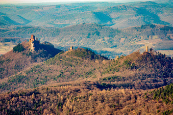 Vue aérienne de Complexe du château du Reichsburg Trifels entouré de forêt à Annweiler am Trifels dans le département Rhénanie-Palatinat, Allemagne