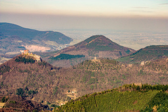 Vue aérienne de Le château de Trifels vu de l'ouest à le quartier Bindersbach in Annweiler am Trifels dans le département Rhénanie-Palatinat, Allemagne