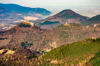 Vue aérienne de Le château de Trifels vu de l'ouest à Annweiler am Trifels dans le département Rhénanie-Palatinat, Allemagne