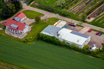 Vue aérienne de Reiner Hauser à Oberhausen dans le département Rhénanie-Palatinat, Allemagne