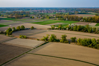 Vue aérienne de Vue de la ville depuis le sud à Leimersheim dans le département Rhénanie-Palatinat, Allemagne