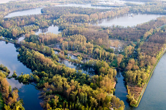 Vue aérienne de Delta et embouchure du Rhin à le quartier Leopoldshafen in Eggenstein-Leopoldshafen dans le département Bade-Wurtemberg, Allemagne