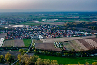 Photographie aérienne de Champs agricoles et terres agricoles à Kuhardt dans le département Rhénanie-Palatinat, Allemagne