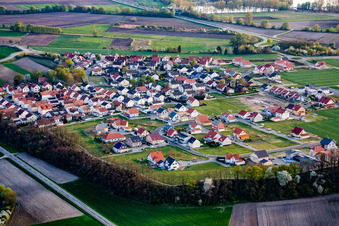 Vue aérienne de Vue sur le village à le quartier Hardtwald in Neupotz dans le département Rhénanie-Palatinat, Allemagne