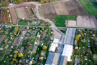 Vue aérienne de Jardins d'herbes aromatiques à Kandel dans le département Rhénanie-Palatinat, Allemagne