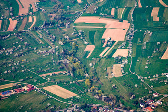 Vue aérienne de Vergers fleuris dans les champs du district de Schwann à le quartier Feldrennach in Straubenhardt dans le département Bade-Wurtemberg, Allemagne