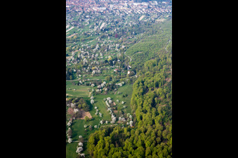 Vue aérienne de Plantation de fruits à pépins en fleurs dans le district d'Oberweier à le quartier Ettlingenweier in Ettlingen dans le département Bade-Wurtemberg, Allemagne
