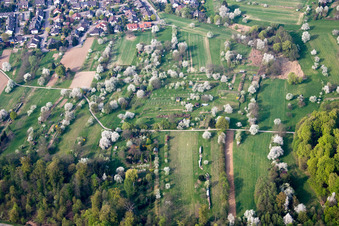 Vue aérienne de Parcelles d'un jardin familial à le quartier Oberweier in Gaggenau dans le département Bade-Wurtemberg, Allemagne
