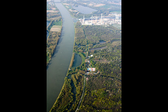 Photographie aérienne de Zones riveraines de la piscine extérieure Rheinstrandbad Rappenwört sur le Rhin à le quartier Daxlanden in Karlsruhe dans le département Bade-Wurtemberg, Allemagne