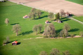 Vue aérienne de Meules de foin au printemps à Raisting dans le département Bavière, Allemagne