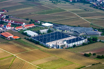 Vue aérienne de Locaux de l'usine Wellpappenfabrik GmbH à le quartier Sausenheim in Grünstadt dans le département Rhénanie-Palatinat, Allemagne