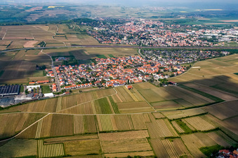 Vue aérienne de Vue sur le village à le quartier Sausenheim in Grünstadt dans le département Rhénanie-Palatinat, Allemagne