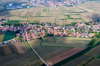 Kleinkarlbach dans le département Rhénanie-Palatinat, Allemagne depuis l'avion
