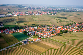 Vue aérienne de Champs agricoles et terres agricoles à Kleinkarlbach dans le département Rhénanie-Palatinat, Allemagne