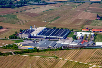 Photographie aérienne de Locaux de l'usine Wellpappenfabrik GmbH à le quartier Sausenheim in Grünstadt dans le département Rhénanie-Palatinat, Allemagne