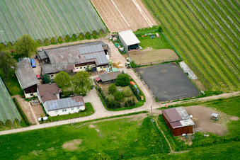 Vue aérienne de Lindenhof à Steinweiler dans le département Rhénanie-Palatinat, Allemagne