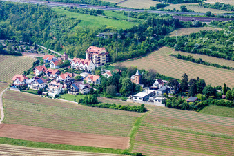 Vue aérienne de Quartier de la Sausenheimerstraße à Neuleiningen dans le département Rhénanie-Palatinat, Allemagne