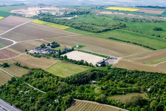 Vue aérienne de Domaine viticole Haus Sonnenberg à Neuleiningen dans le département Rhénanie-Palatinat, Allemagne