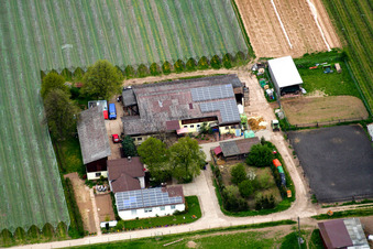 Photographie aérienne de Lindenhof à Steinweiler dans le département Rhénanie-Palatinat, Allemagne