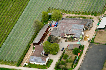 Lindenhof à Steinweiler dans le département Rhénanie-Palatinat, Allemagne d'en haut