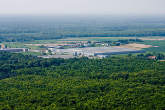 Photographie aérienne de Hatten dans le département Bas Rhin, France
