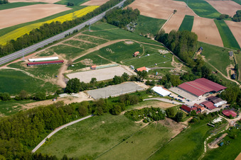 Haras de la Neée à Neewiller-près-Lauterbourg dans le département Bas Rhin, France hors des airs