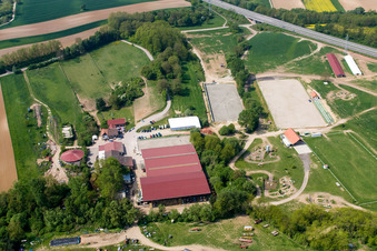 Haras de la Neée à Neewiller-près-Lauterbourg dans le département Bas Rhin, France vue du ciel