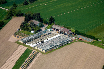 Photographie aérienne de Bösherz Hof à le quartier Neulauterburg in Berg dans le département Rhénanie-Palatinat, Allemagne