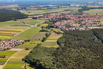 Vue aérienne de Vue de la ville depuis l'ouest à Rheinzabern dans le département Rhénanie-Palatinat, Allemagne