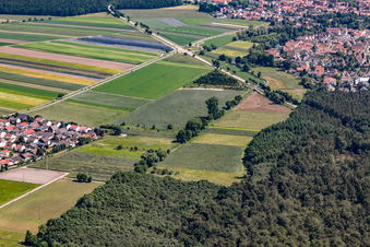 Vue aérienne de Erlenbachtal à Hatzenbühl dans le département Rhénanie-Palatinat, Allemagne