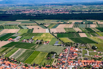 Photographie aérienne de Nouvelle zone de développement à Tabakfeld à Hatzenbühl dans le département Rhénanie-Palatinat, Allemagne