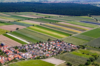 Vue aérienne de Quartier des musiciens à Hatzenbühl dans le département Rhénanie-Palatinat, Allemagne