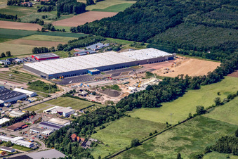 Vue oblique de Nouveau centre logistique à Horstring à le quartier Minderslachen in Kandel dans le département Rhénanie-Palatinat, Allemagne