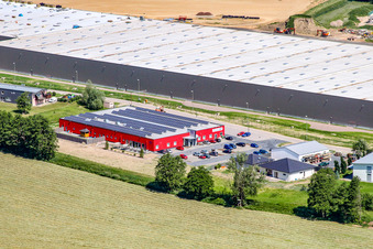 Bienwald Fitness World à le quartier Minderslachen in Kandel dans le département Rhénanie-Palatinat, Allemagne depuis l'avion