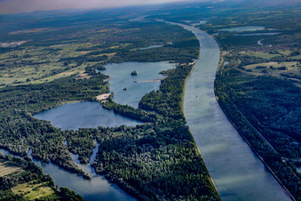 Vue aérienne de Zones riveraines de la voie navigable intérieure du Rhin au niveau du canal de l'Or à Elchesheim-Illingen dans le département Bade-Wurtemberg, Allemagne