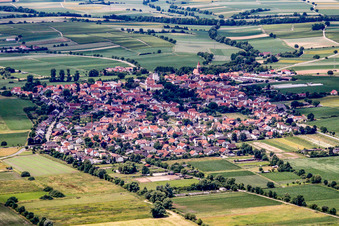 Vue aérienne de Vue du village depuis l'est à Minfeld dans le département Rhénanie-Palatinat, Allemagne