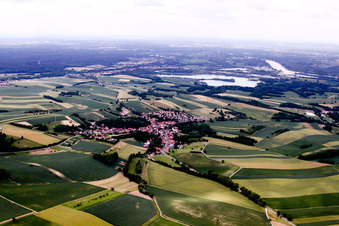 Vue d'oiseau de Neewiller-près-Lauterbourg dans le département Bas Rhin, France