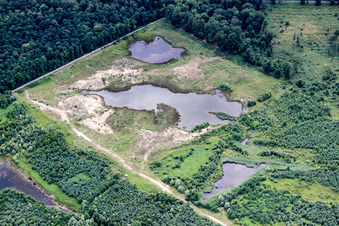 Vue aérienne de Zones riveraines d'un ancien lac d'exploitation minière à ciel ouvert et de renaturation inondé dans la forêt de Haguenau à Kesseldorf dans le département Bas Rhin, France