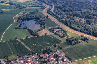 Vue aérienne de Labyrinthe de maïs Seehof à Leimersheim dans le département Rhénanie-Palatinat, Allemagne