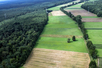 Vue aérienne de Plaines d'Otterbach à Kandel dans le département Rhénanie-Palatinat, Allemagne