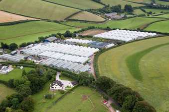 Vue aérienne de Marldon dans le département Angleterre, Grande Bretagne