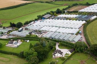 Photographie aérienne de Marldon dans le département Angleterre, Grande Bretagne