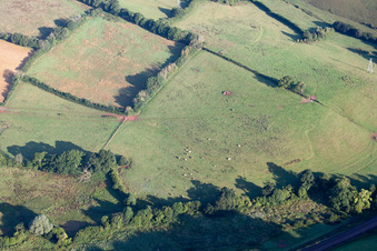 Vue oblique de Kingskerswell dans le département Angleterre, Grande Bretagne