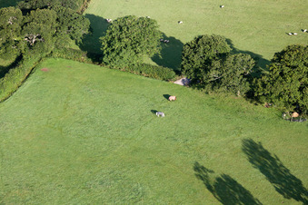 Abbotskerswell dans le département Angleterre, Grande Bretagne vu d'un drone