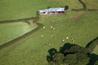 Vue aérienne de Abbotskerswell dans le département Angleterre, Grande Bretagne