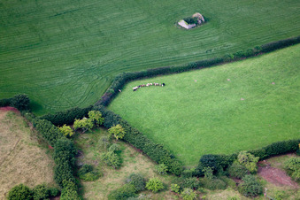 Ipplepen dans le département Angleterre, Grande Bretagne vue du ciel