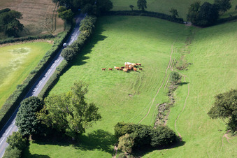 Enregistrement par drone de Ipplepen dans le département Angleterre, Grande Bretagne